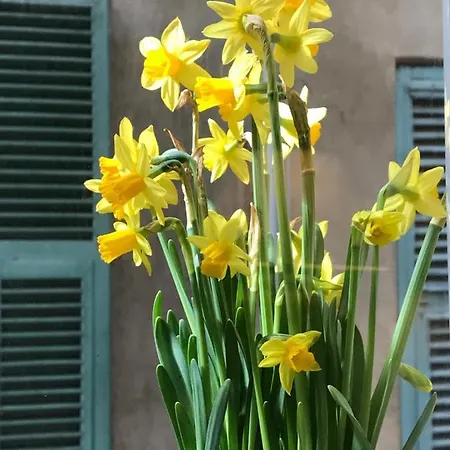 Family 2br Old Town Near Ac Apartmán